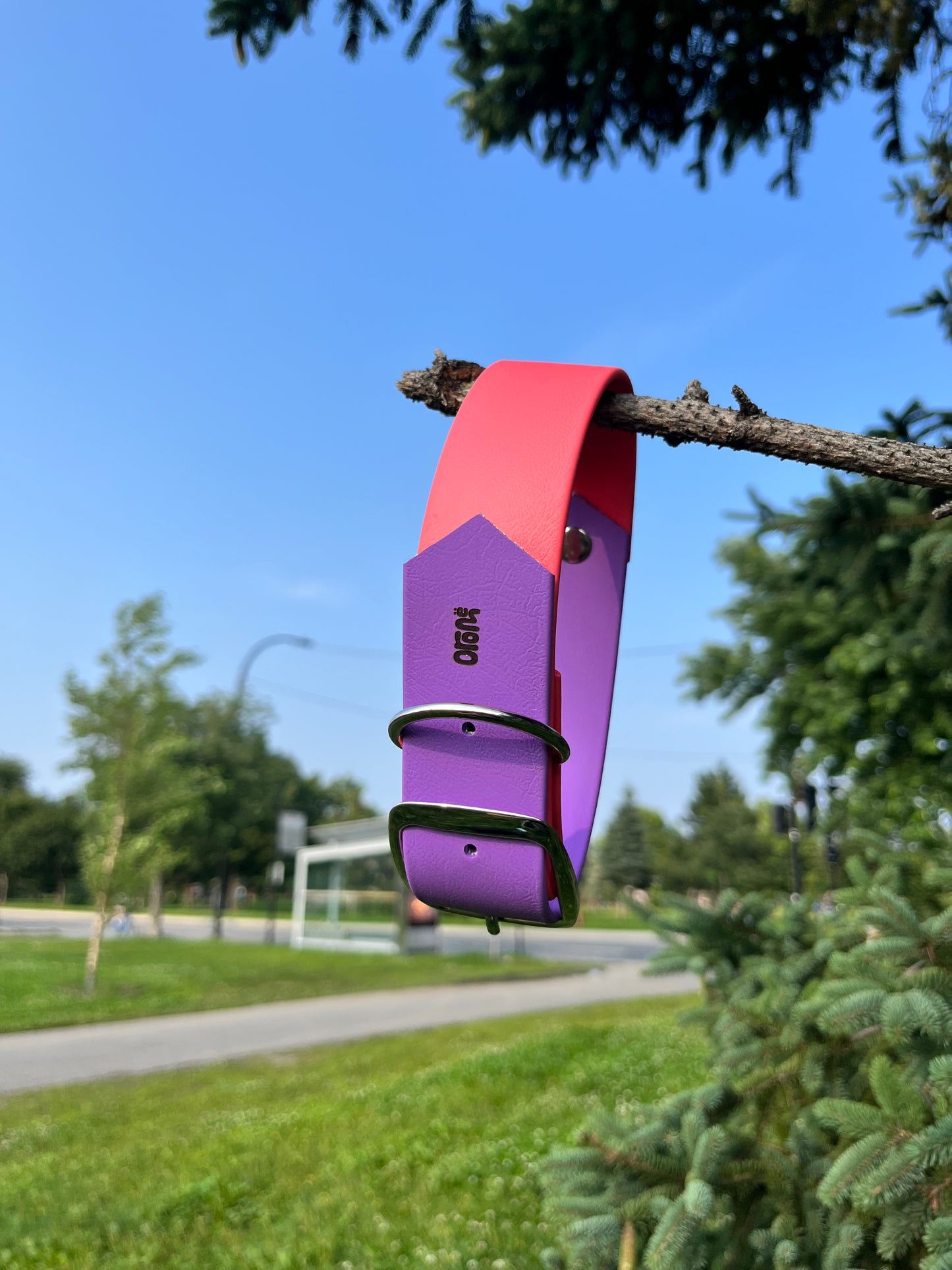 VALAR 1 ½ pouce - ✹Oromë✹ accessoires sur-mesure pour chiens