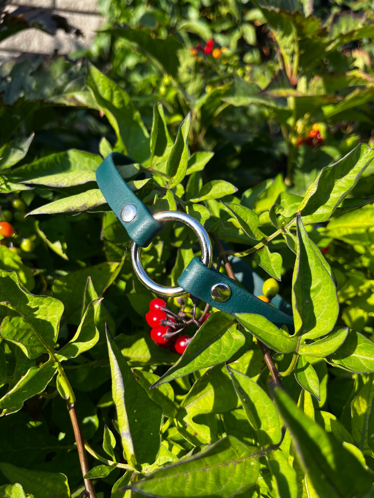 Porte-médaille - ✹Oromë✹ accessoires sur-mesure pour chiens
