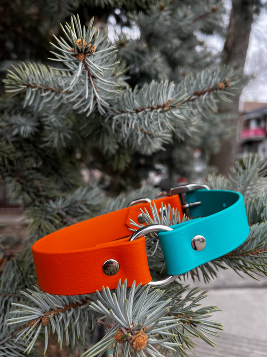 ARATAR - ✹Oromë✹ accessoires sur-mesure pour chiens