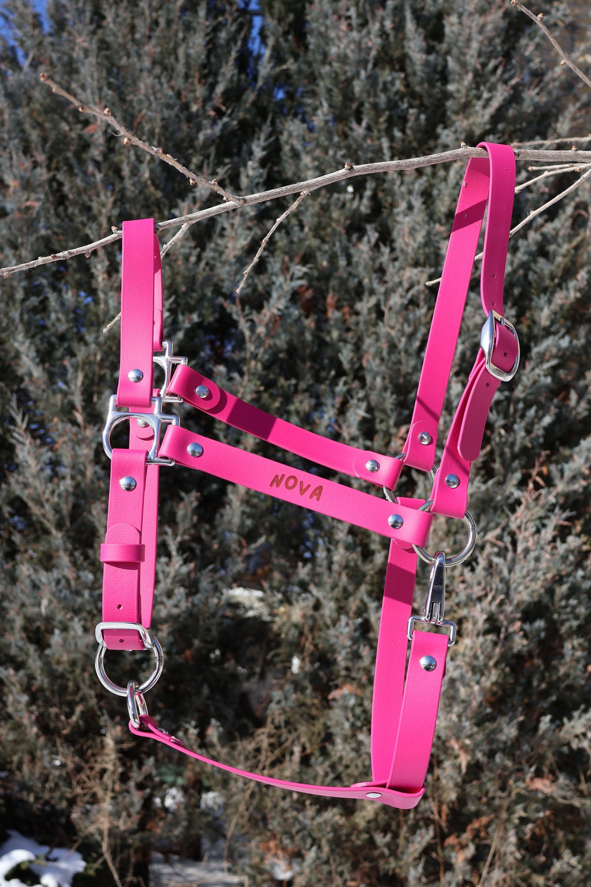Licol d'équitation 🐎 - ✹Oromë✹ accessoires sur-mesure pour chiens