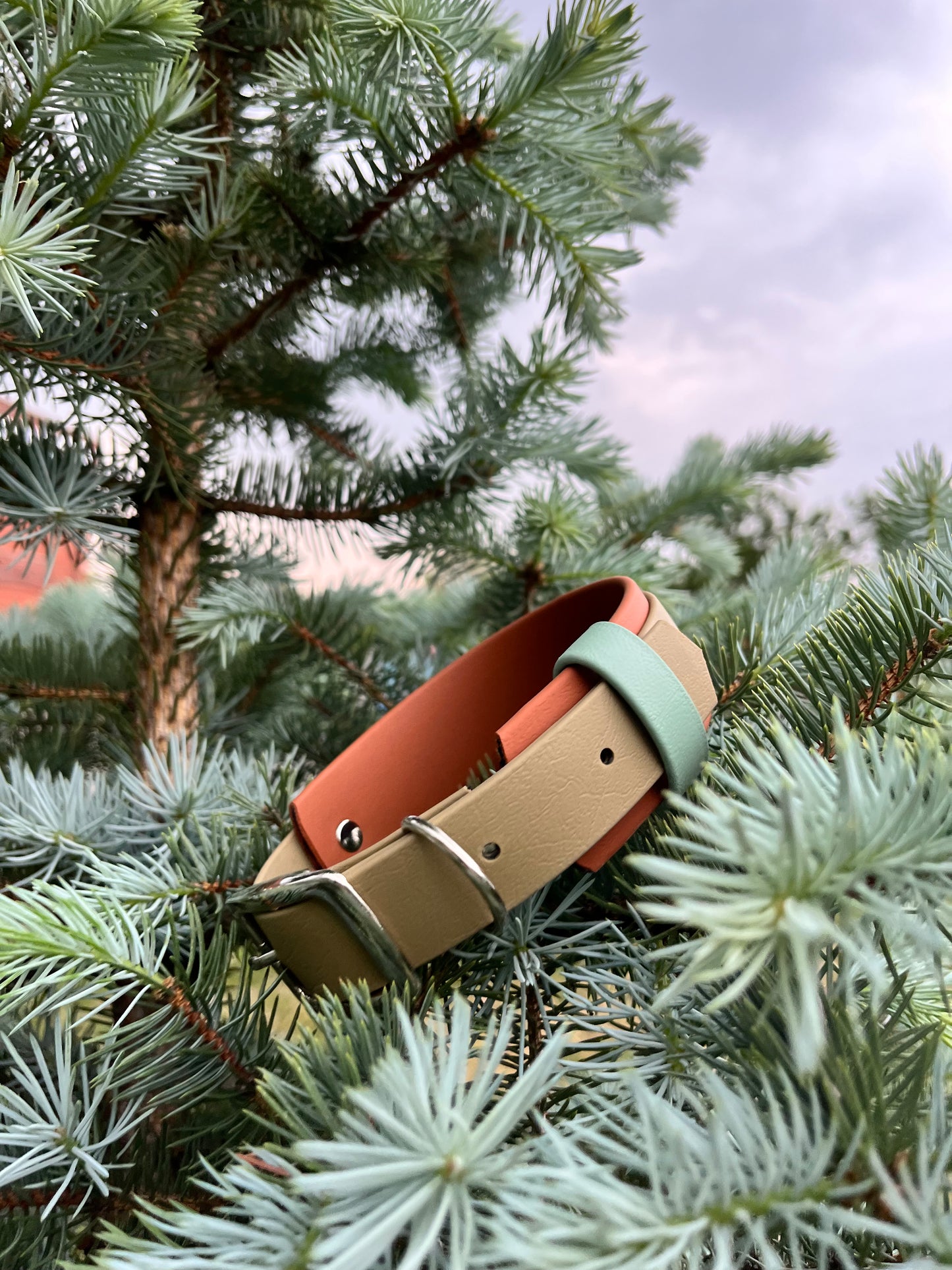 ARDA - ✹Oromë✹ accessoires sur-mesure pour chiens