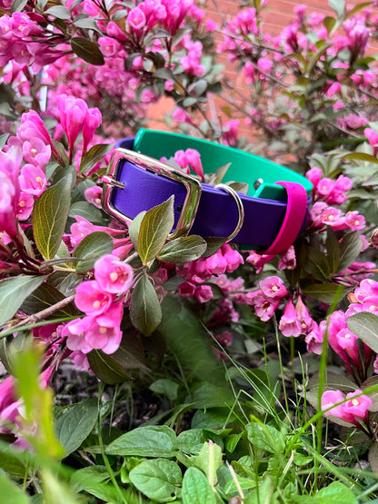 ARDA - ✹Oromë✹ accessoires sur-mesure pour chiens