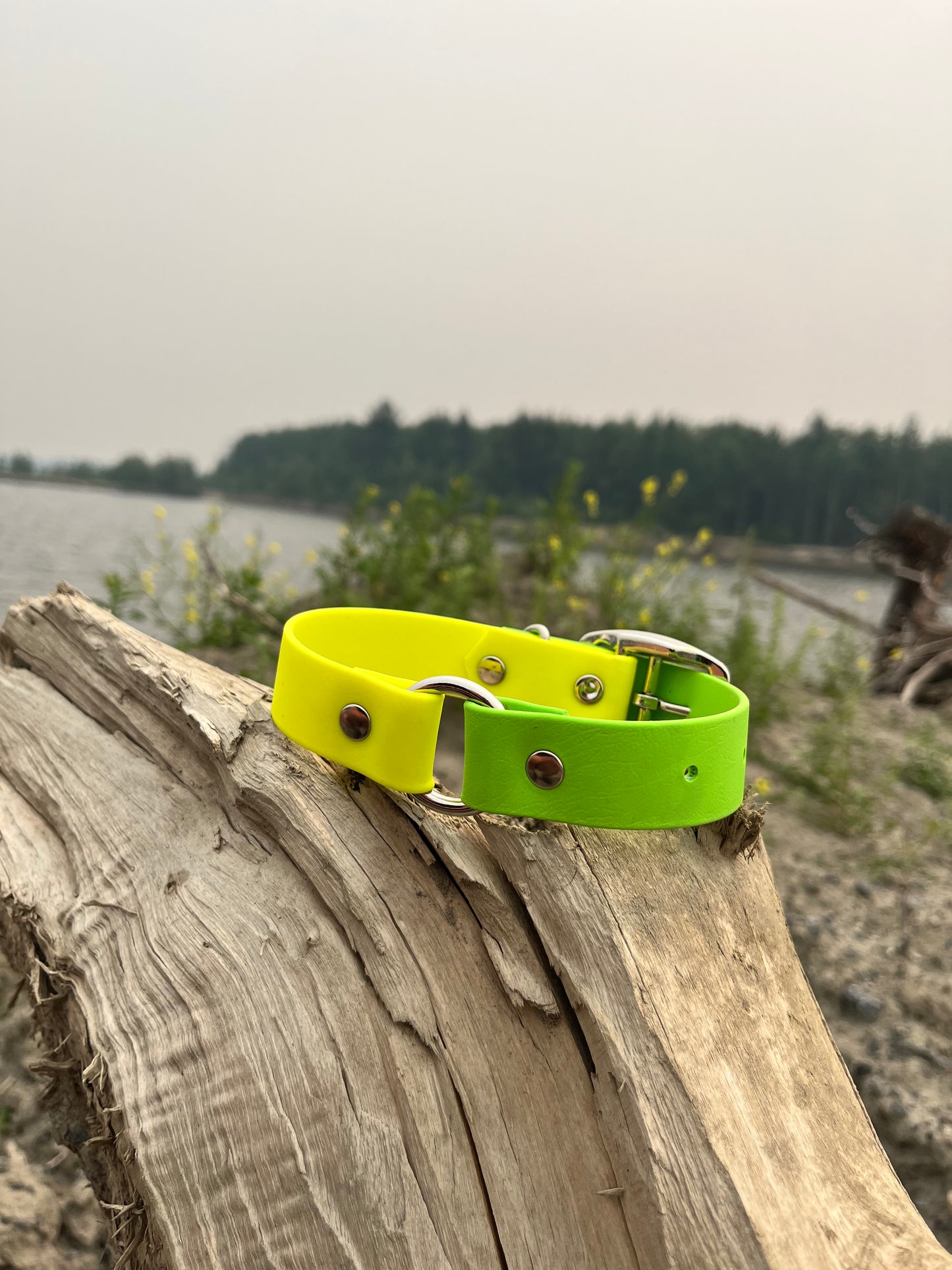 ARATAR | 10 à 14" | jaune néon et pomme - ✹Oromë✹ accessoires sur-mesure pour chiens