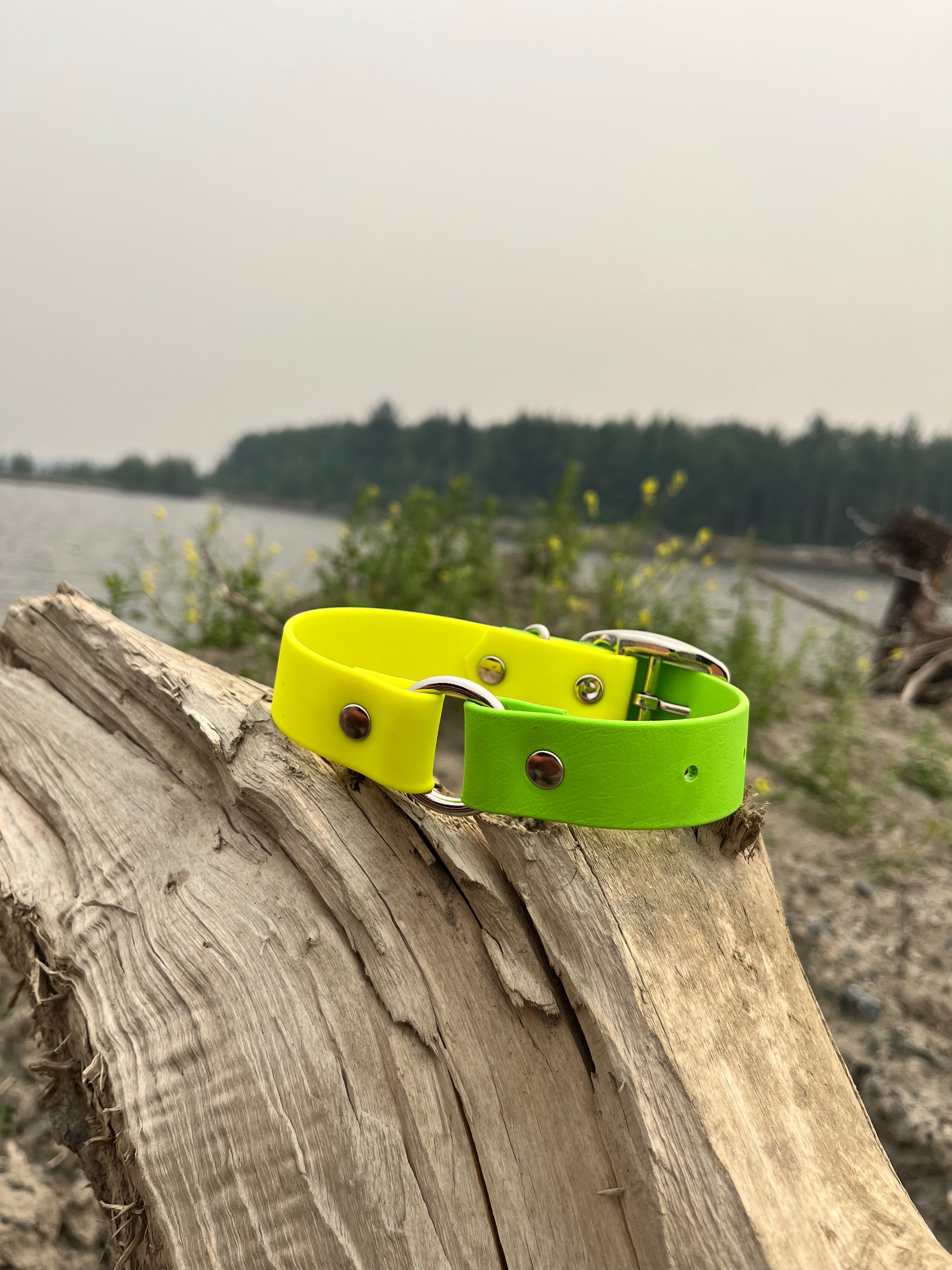 ARATAR | 10 à 14" | jaune néon et pomme - ✹Oromë✹ accessoires sur-mesure pour chiens