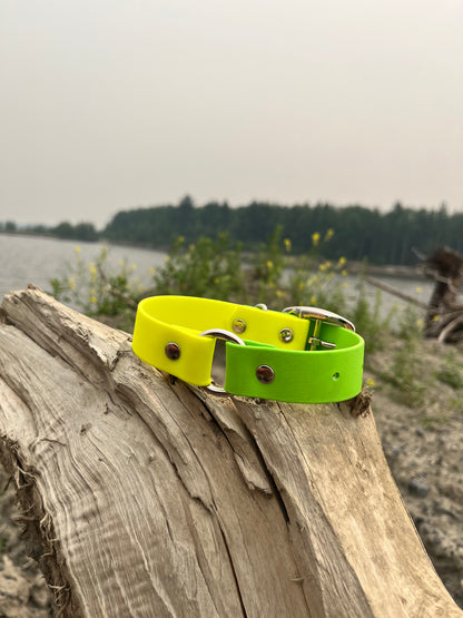 ARATAR | 10 à 14" | jaune néon et pomme - ✹Oromë✹ accessoires sur-mesure pour chiens