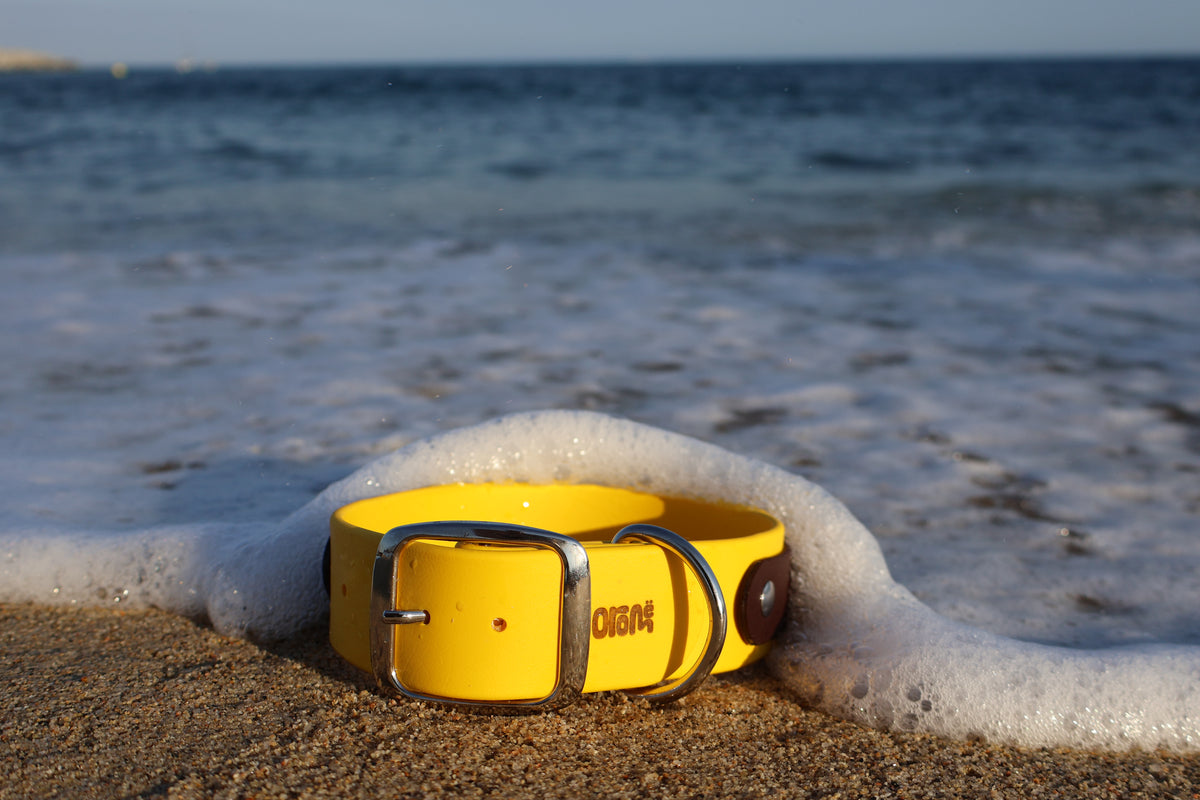Collier ALDARON - ✹Oromë✹ accessoires sur-mesure pour chiens