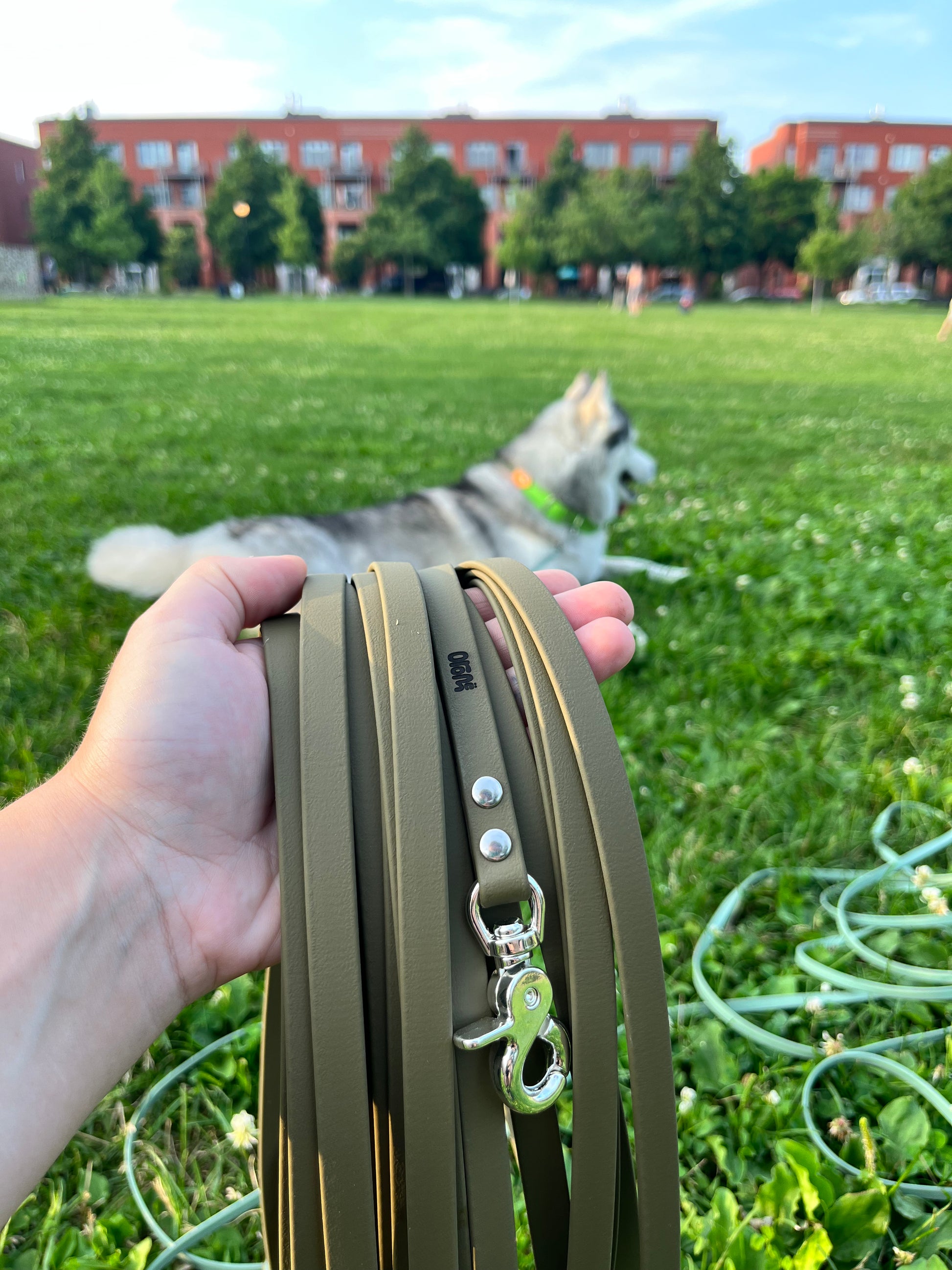 Longe à personnaliser - ✹Oromë✹ accessoires sur-mesure pour chiens