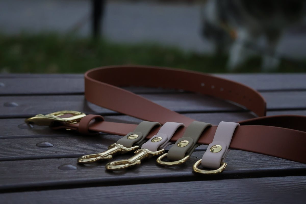 Ceinture de promenade
