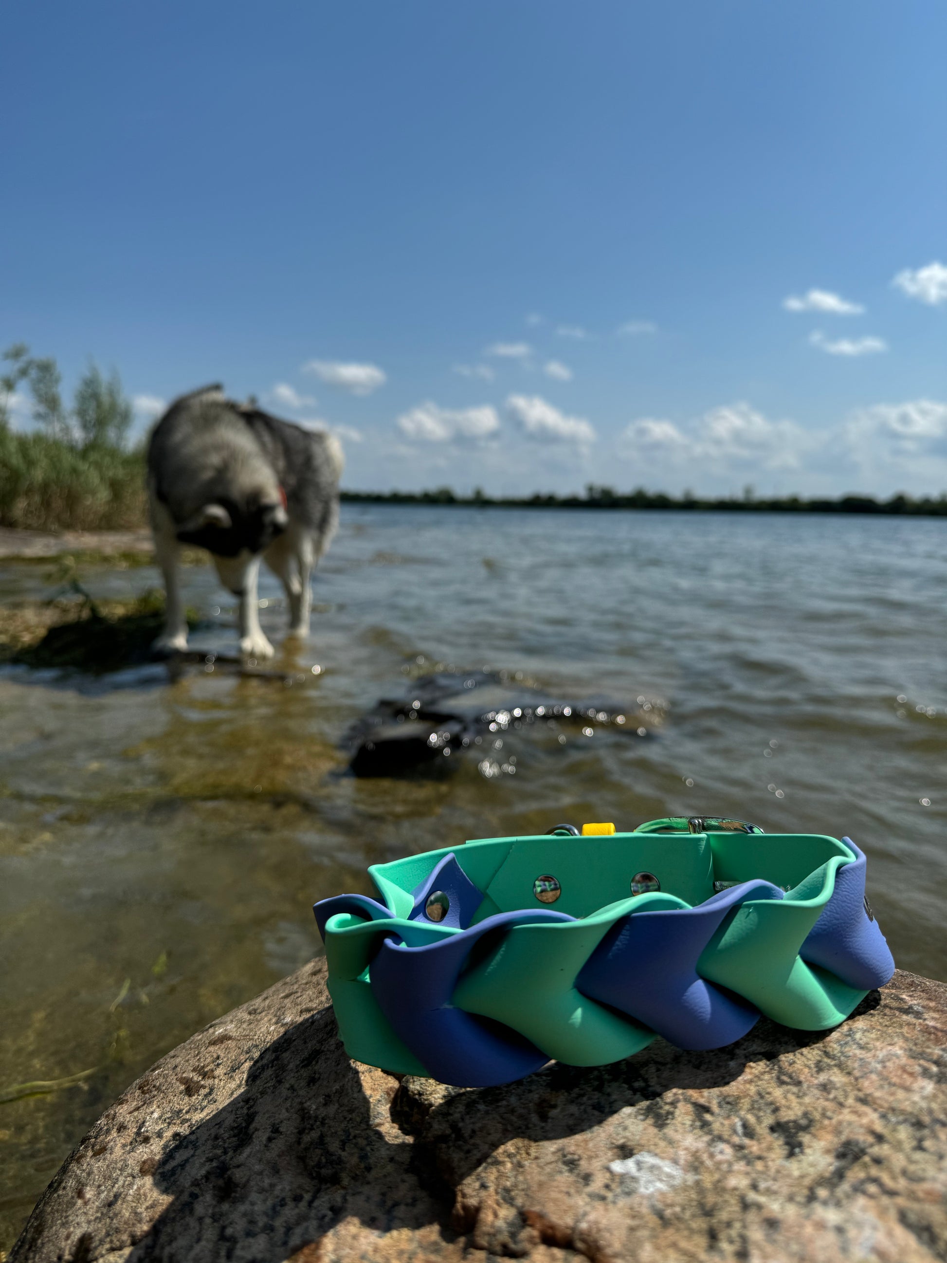 Collier ILWERAN - ✹Oromë✹ accessoires sur-mesure pour chiens