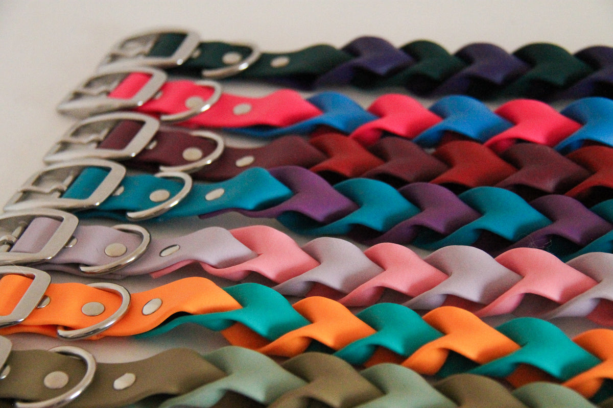 Collier ILWERAN - ✹Oromë✹ accessoires sur-mesure pour chiens