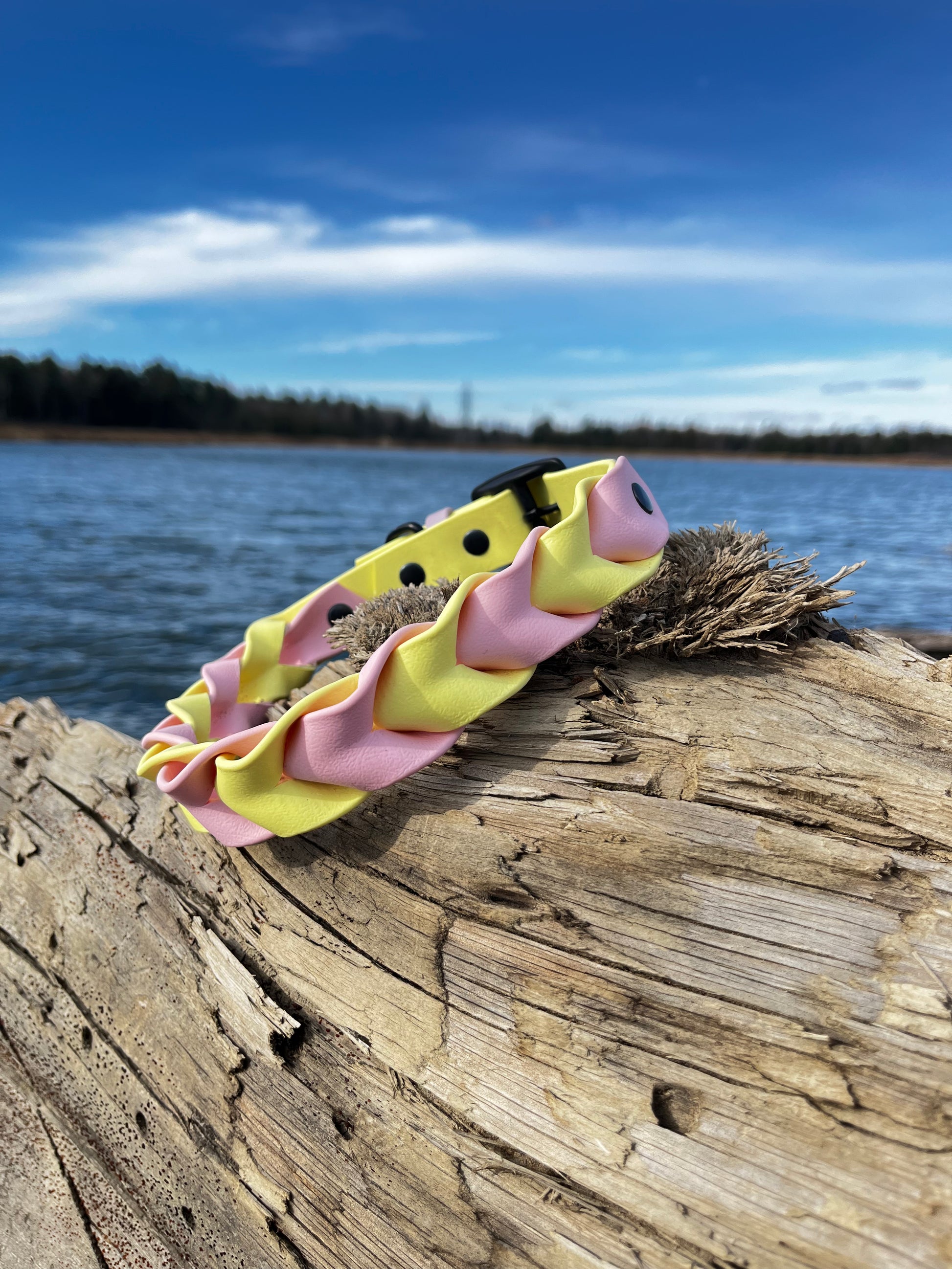 Collier ILWERAN - ✹Oromë✹ accessoires sur-mesure pour chiens