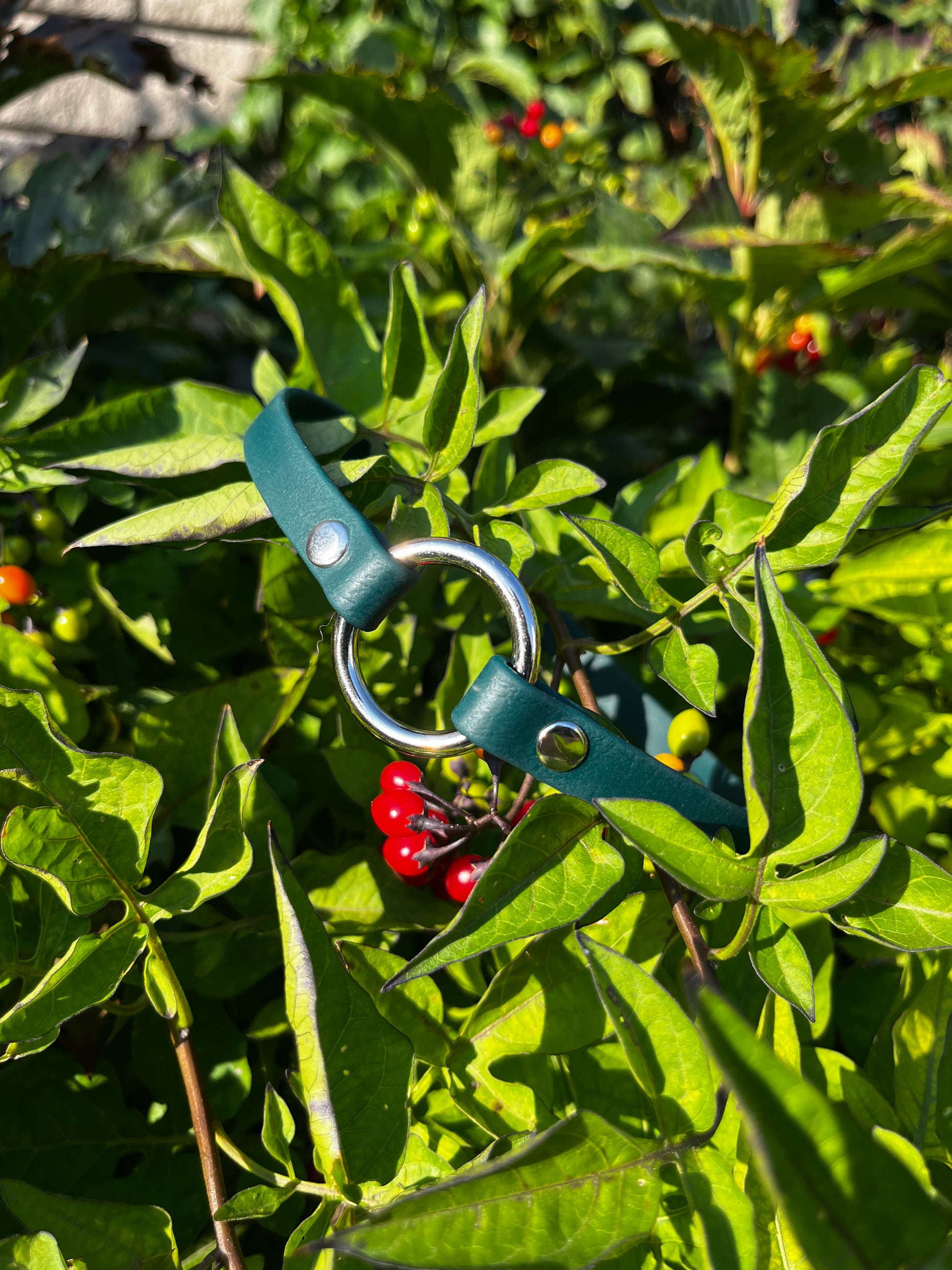 Porte-médaille - ✹Oromë✹ accessoires sur-mesure pour chiens