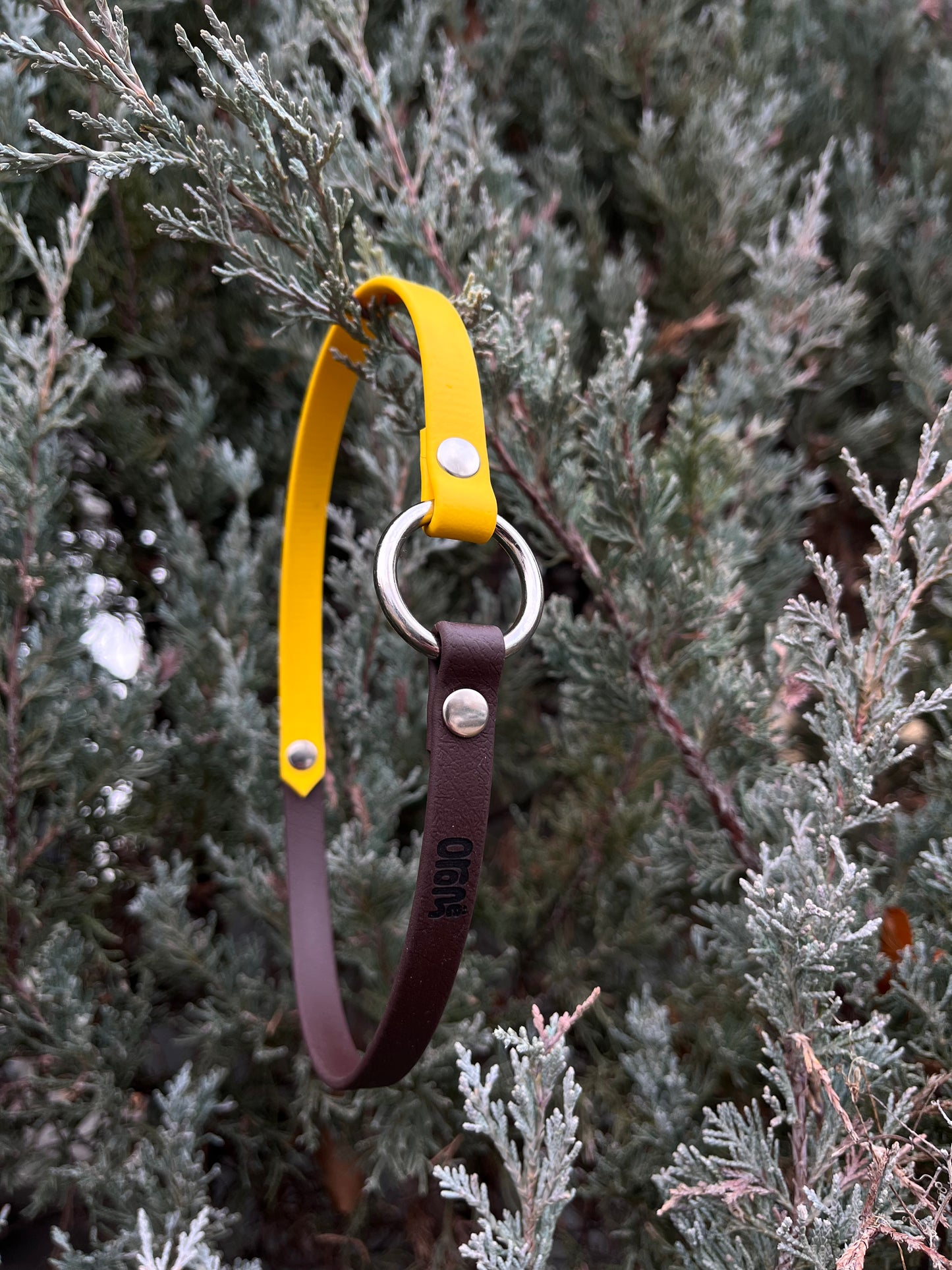 Porte-médaille - ✹Oromë✹ accessoires sur-mesure pour chiens