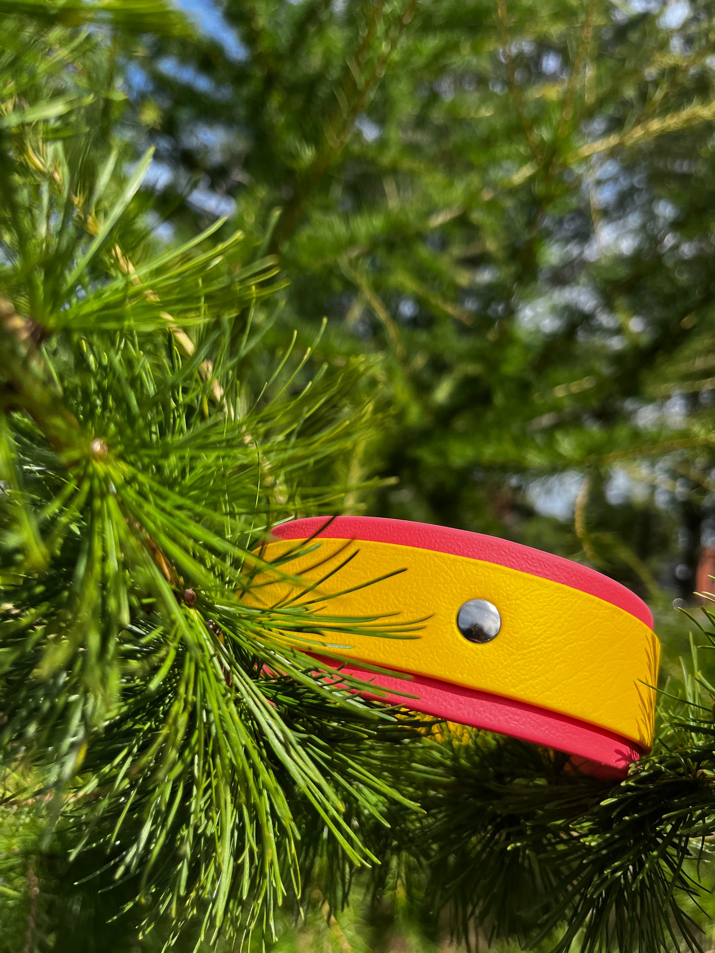 Mini ARDA - ✹Oromë✹ accessoires sur-mesure pour chiens