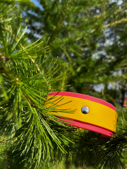 Mini ARDA - ✹Oromë✹ accessoires sur-mesure pour chiens