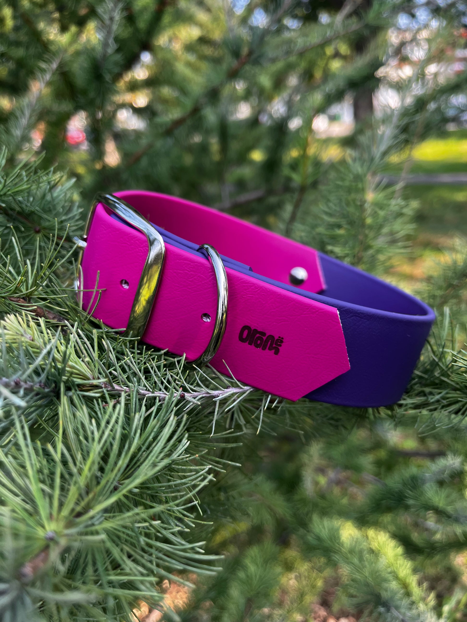 VALAR 1 ½ pouce - ✹Oromë✹ accessoires sur-mesure pour chiens