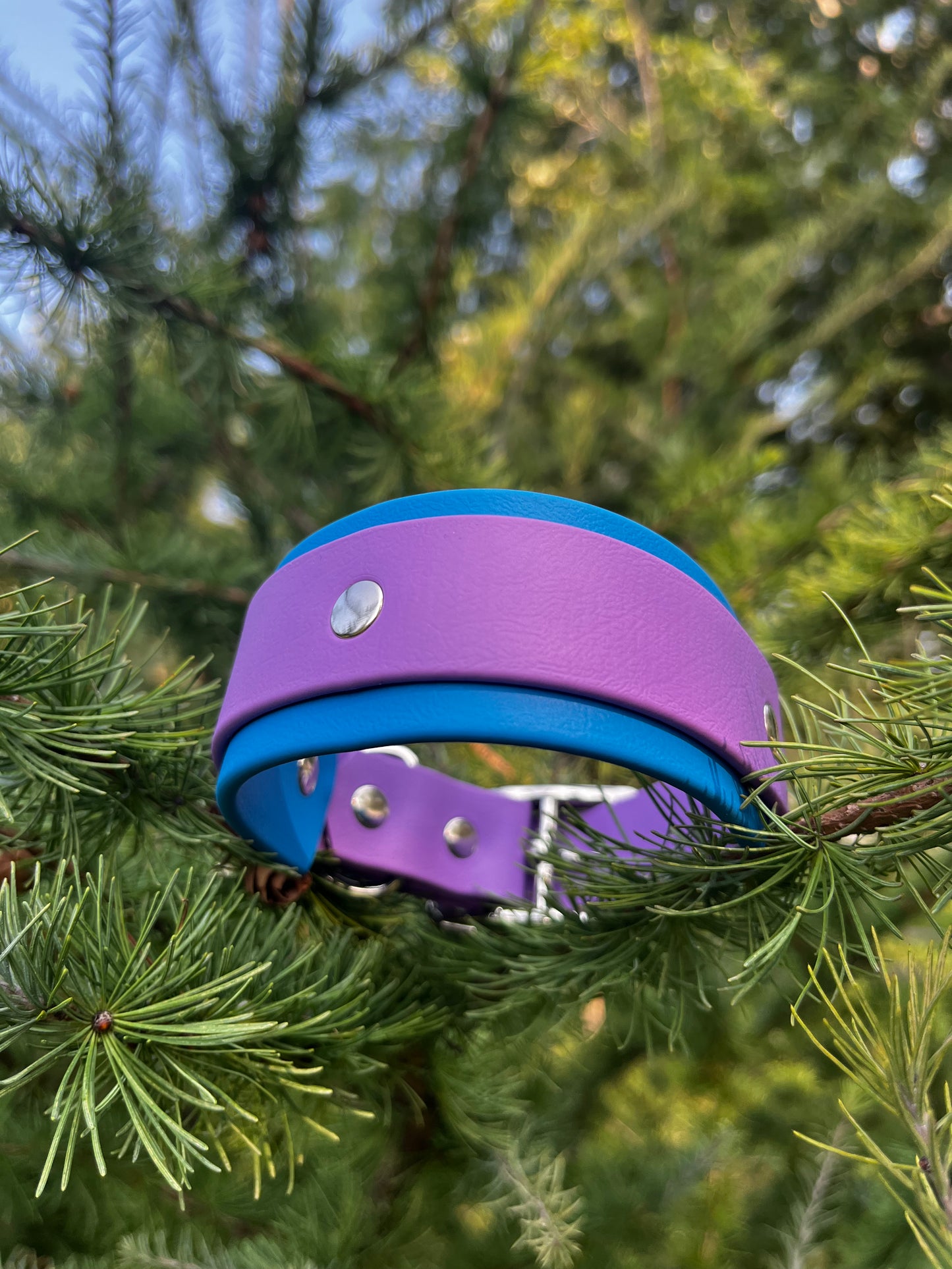 Mini ARDA - ✹Oromë✹ accessoires sur-mesure pour chiens