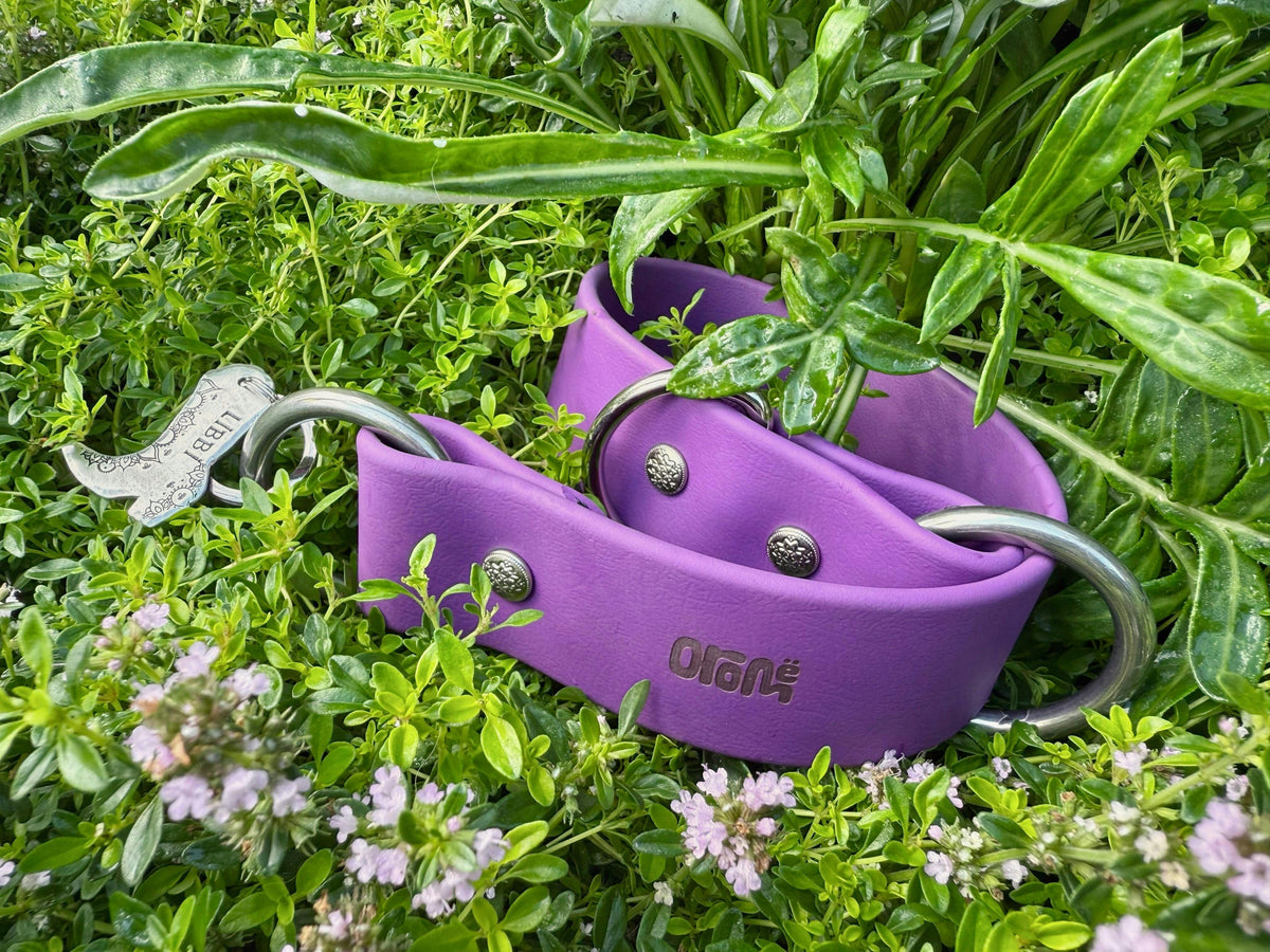Collier ELDAR - ✹Oromë✹ accessoires sur-mesure pour chiens