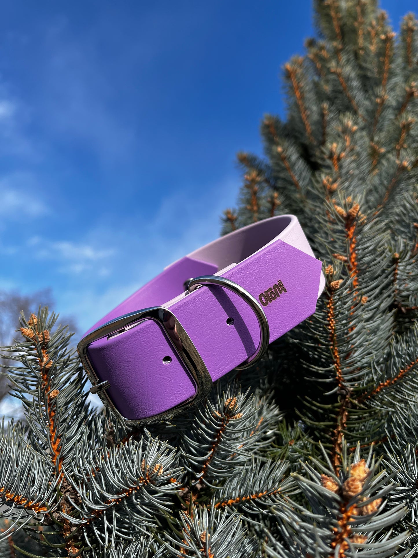 VALAR 1 ½ pouce - ✹Oromë✹ accessoires sur-mesure pour chiens