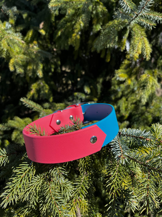 VALAR | 16 à 21" | corail et lagoon - ✹Oromë✹ accessoires sur-mesure pour chiens
