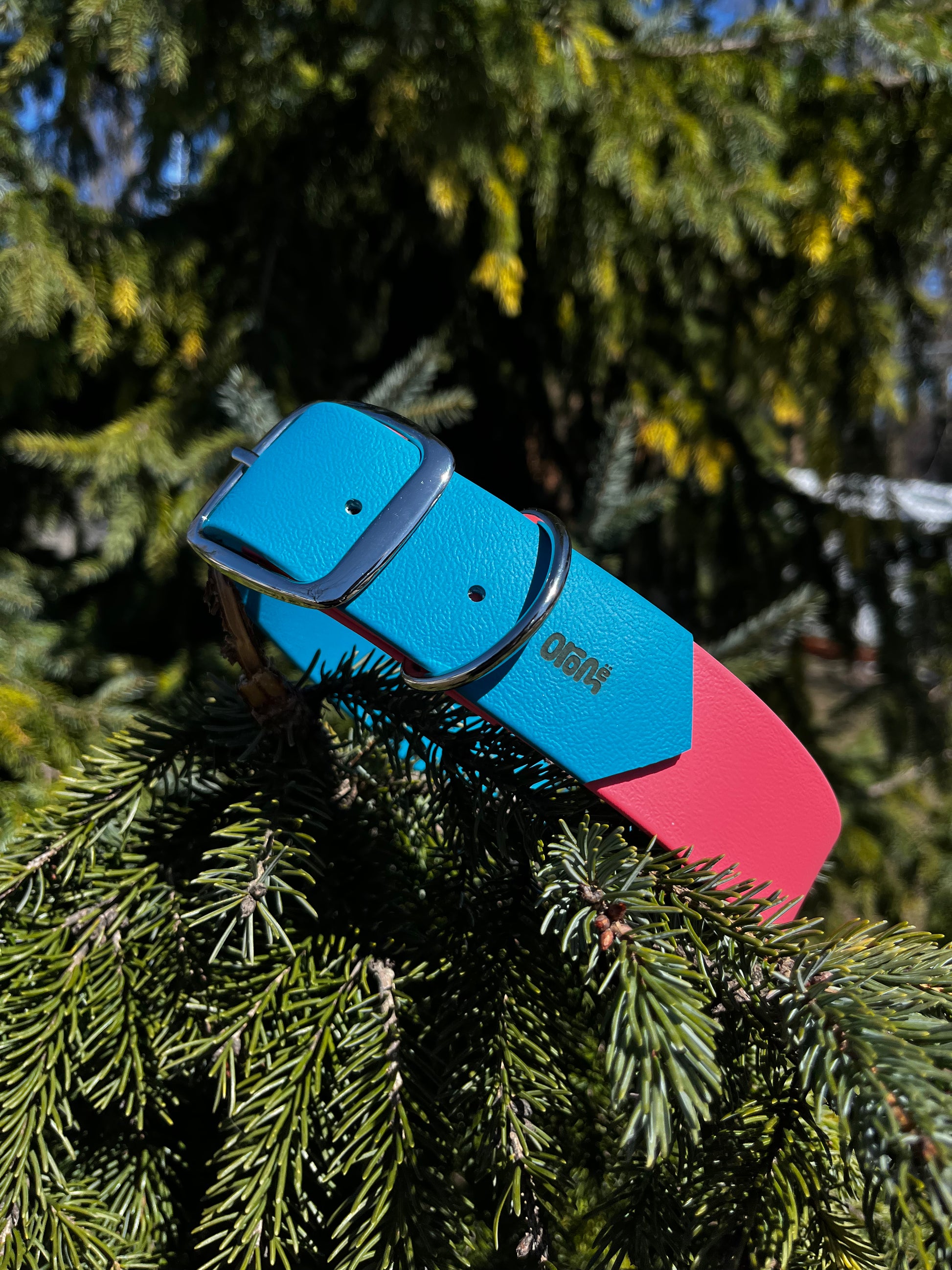 VALAR | 16 à 21" | corail et lagoon - ✹Oromë✹ accessoires sur-mesure pour chiens
