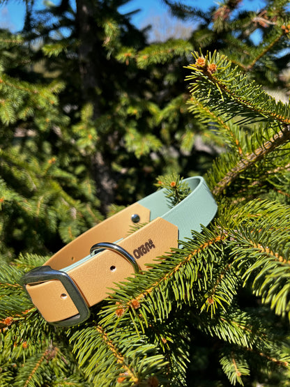 VALAR - ✹Oromë✹ accessoires sur-mesure pour chiens