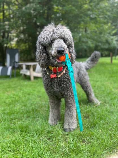 Jouet avec balle - ✹Oromë✹ accessoires sur-mesure pour chiens