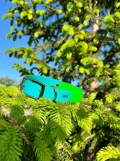 VALAR - ✹Oromë✹ accessoires sur-mesure pour chiens