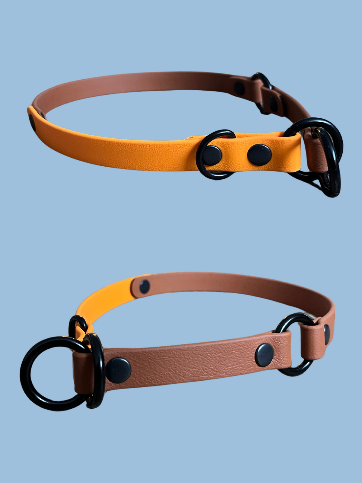 ELDAR | 16" | tan et orange - ✹Oromë✹ accessoires sur-mesure pour chiens